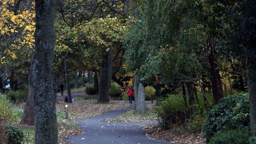 Trees in Newcastle's Leazes Park