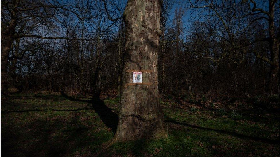 Missing poster on a tree