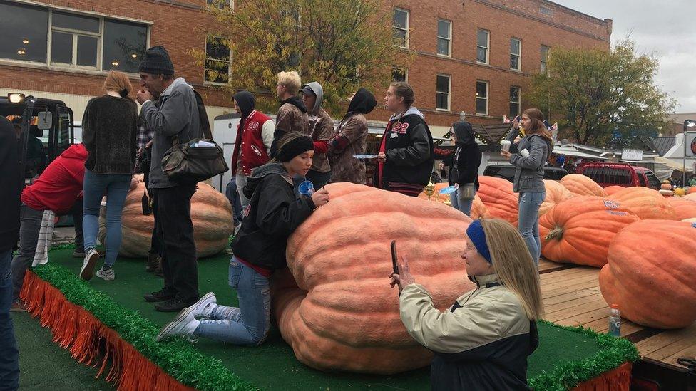 Giant pumpkins at pumpkin show