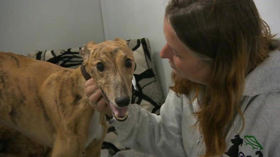 Kelly McGee petting dog