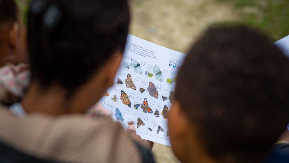 Kids looking at ID chart