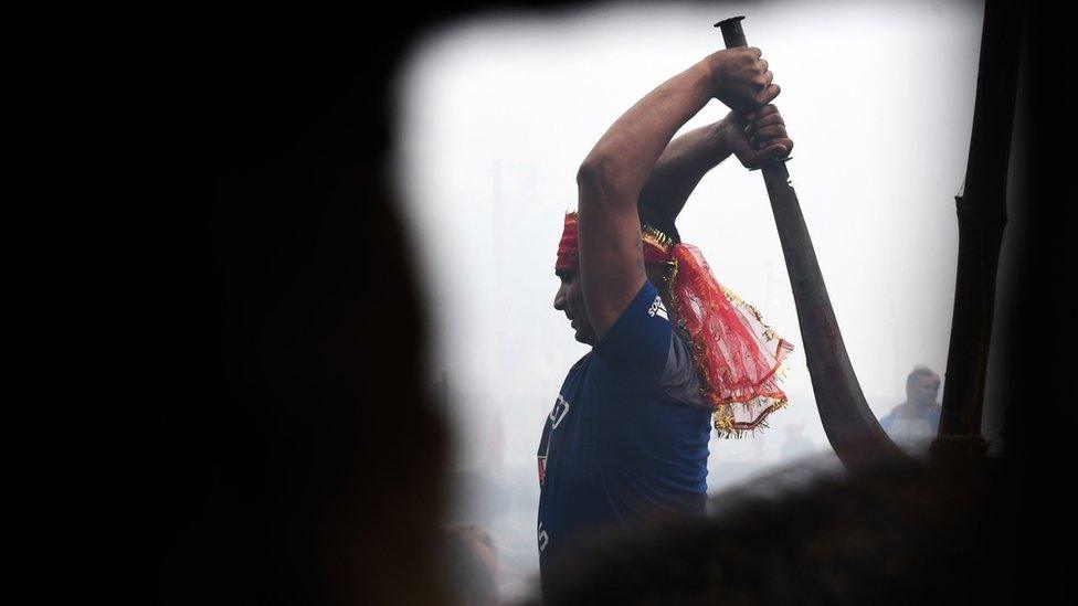 Hindu devotee slaughters a buffalos as a offering during the Gadhimai Festival in Bariyarpur on December 3, 2019