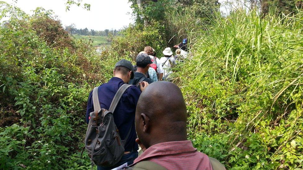 Students walking through a forest under threat