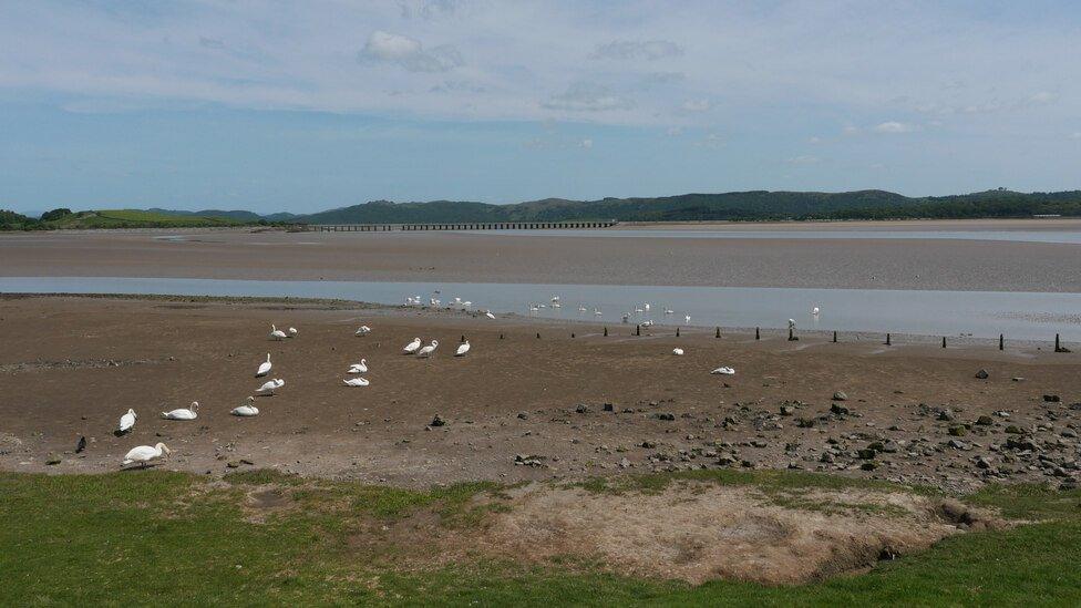 View from Canal Foot near Ulverston