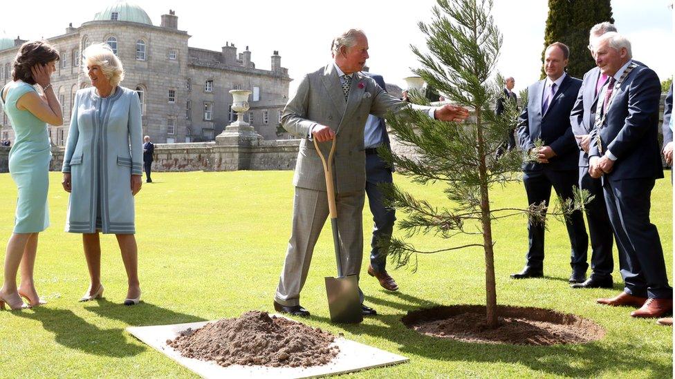 Prince Charles planted a tree ahead of a civic reception at the Powerscourt House and Gardens in Enniskerry