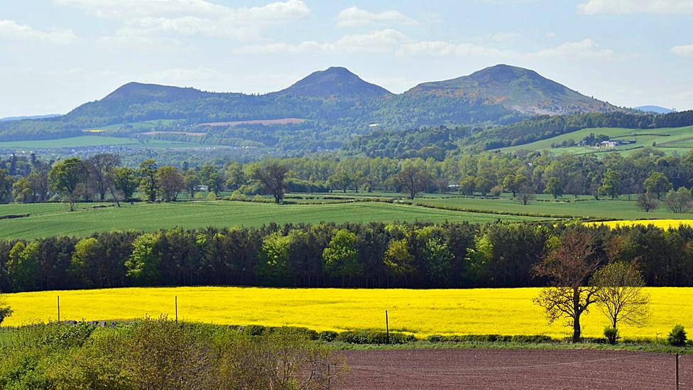 Eildon Hills