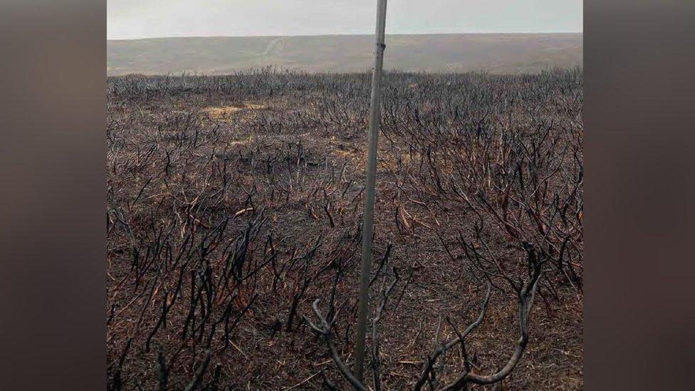 Burned moorland in the Peak District