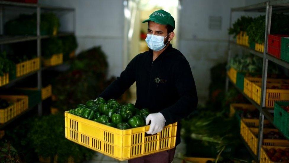 A worker carries a crate of fresh peppers at Emirates Bio Farm