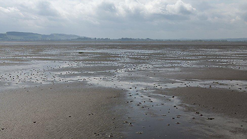 Montrose basin