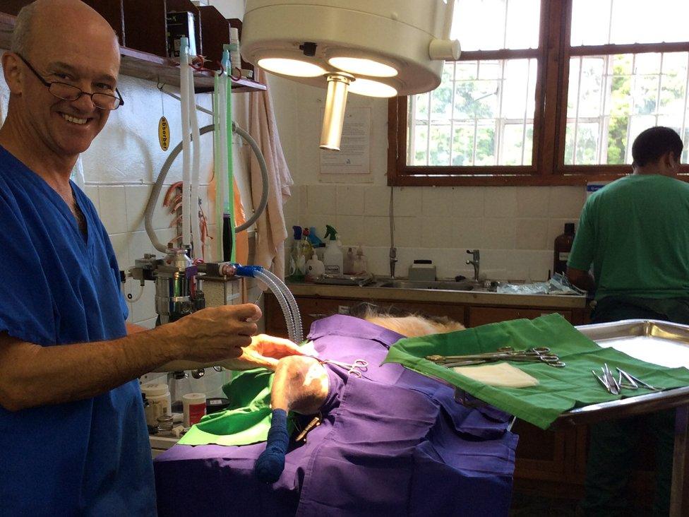 in the operating theatre