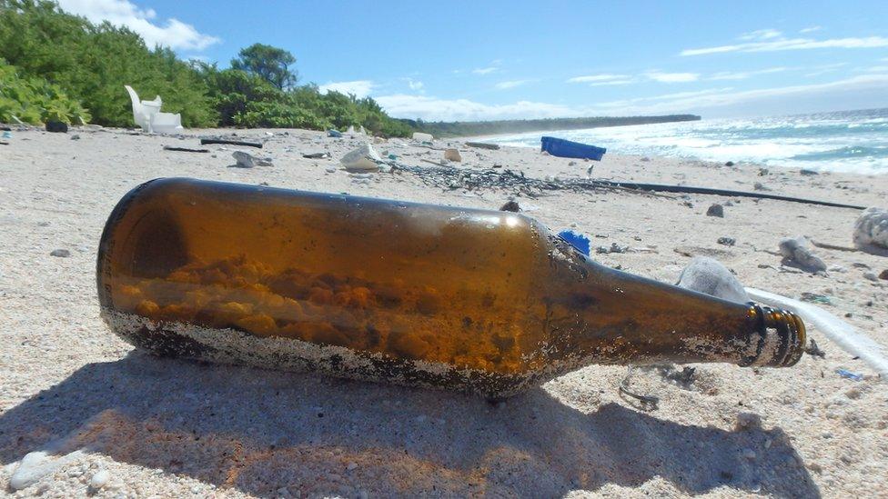 A bottle on a beach with shells inside, surrounded by litter