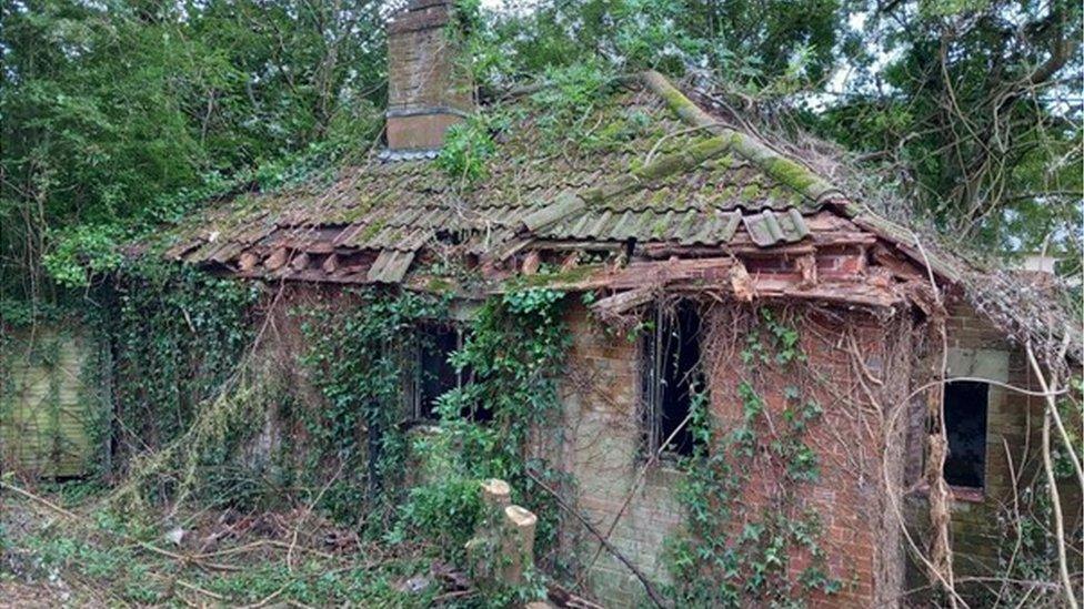 Derelict red brick house covered in ivy