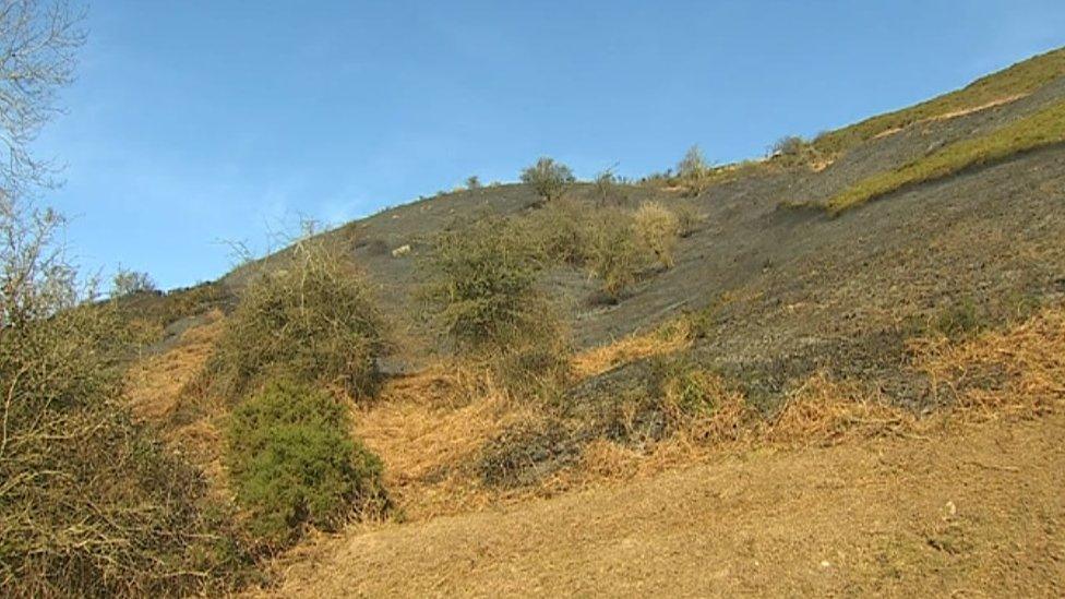 Llangollen gorse fire damage