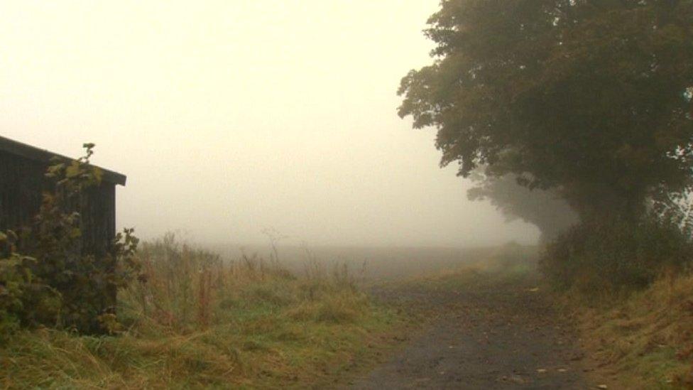 Green belt in Ponteland