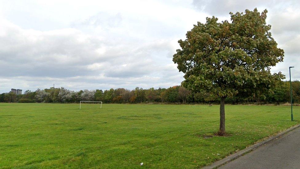 The field with a goalpost