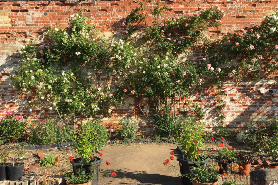 Chicksands Walled Garden