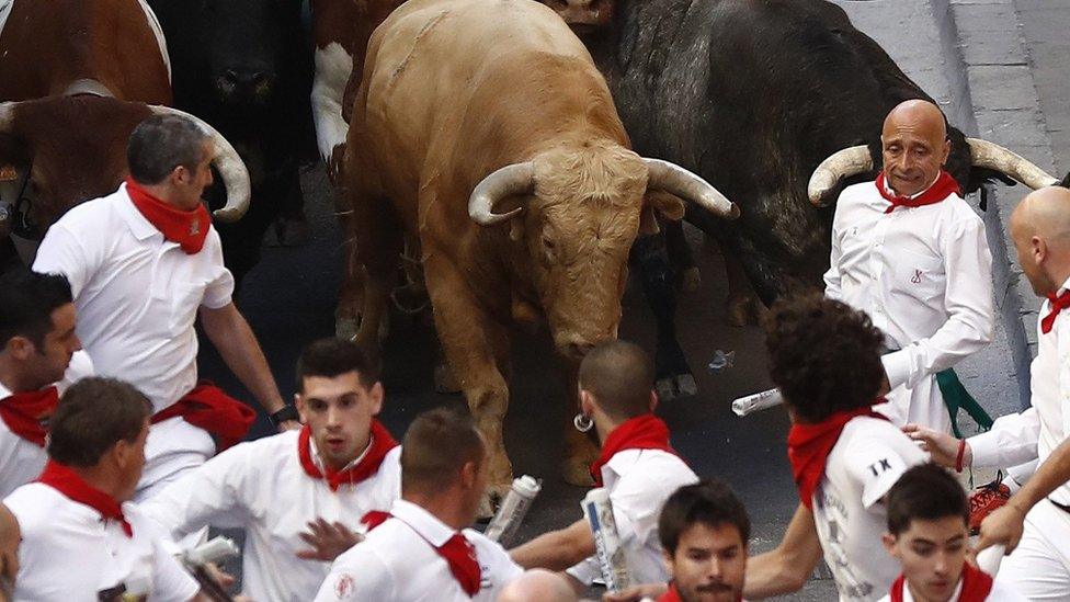 Pamplona running of bulls, 7 Jul 17