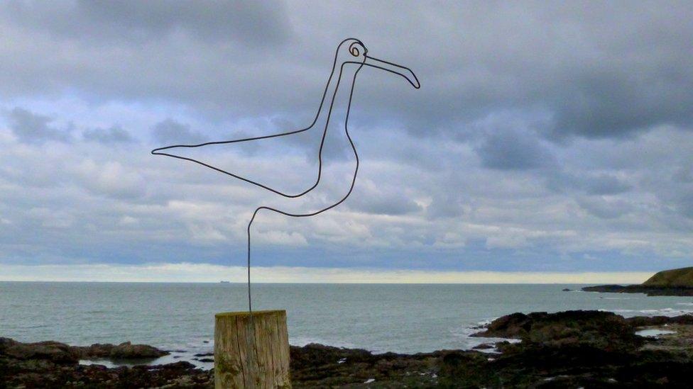 Peter Whitehead spotted this seagull made from bent fence wire while walking at Carmel Head, on Anglesey.