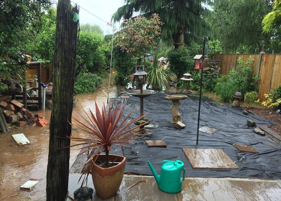 Racheal Webster's flooded garden