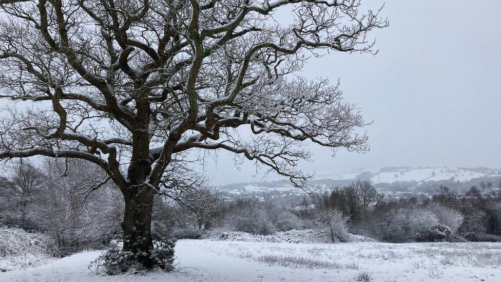 Llantwit Fardre, near Pontypridd, in the snow