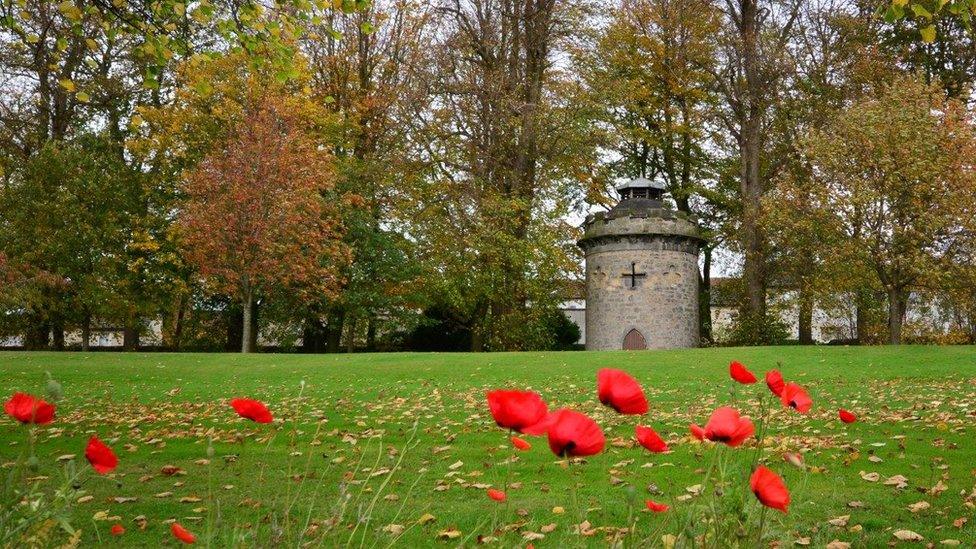 Poppies growing in Dunfermline