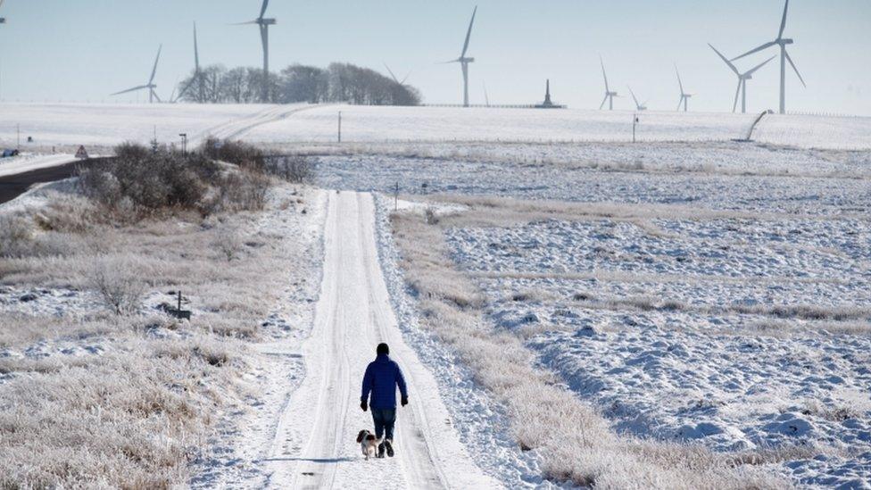 Whitelee Wind Farm