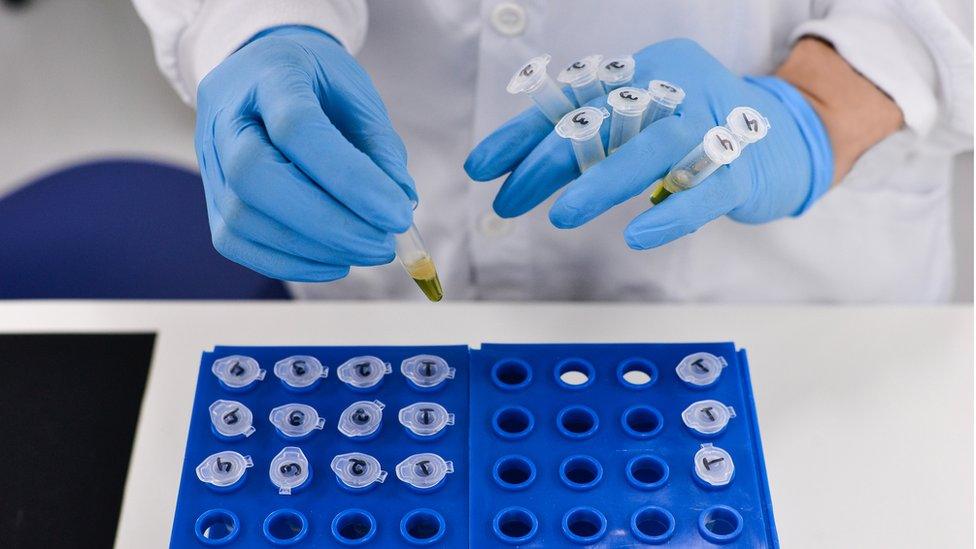 Scientist with test tubes in a laboratory