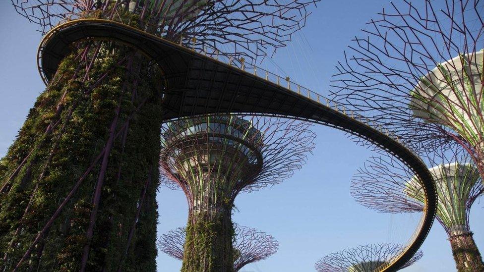 Gardens by the Bay, Singapore