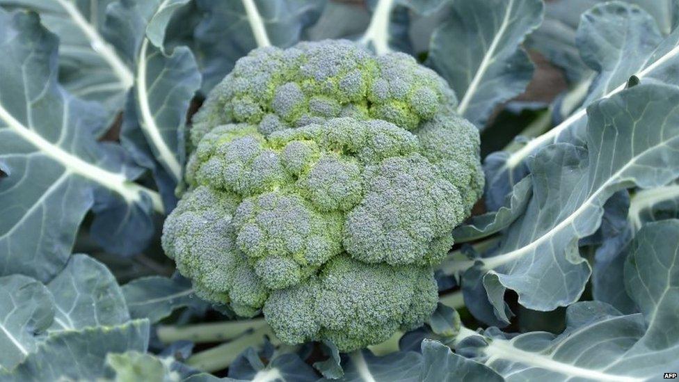 French broccoli