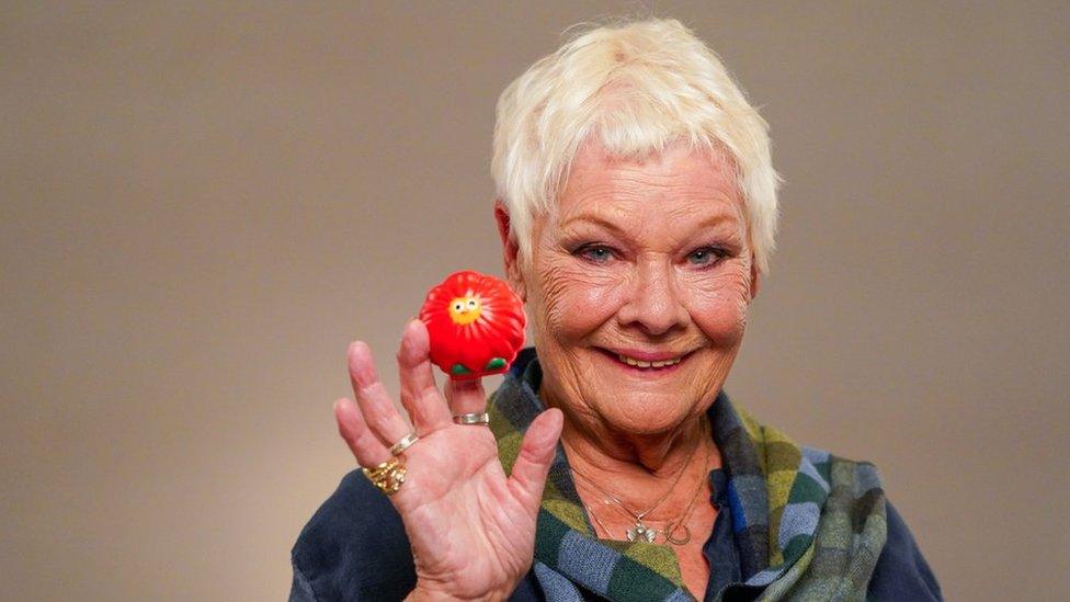 Dame Judi Dench