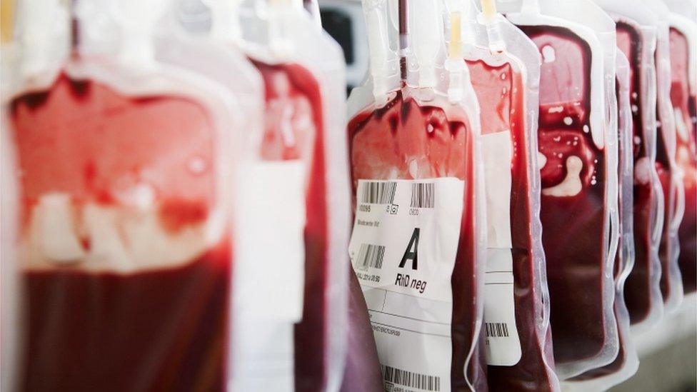 Blood bags in donation clinic