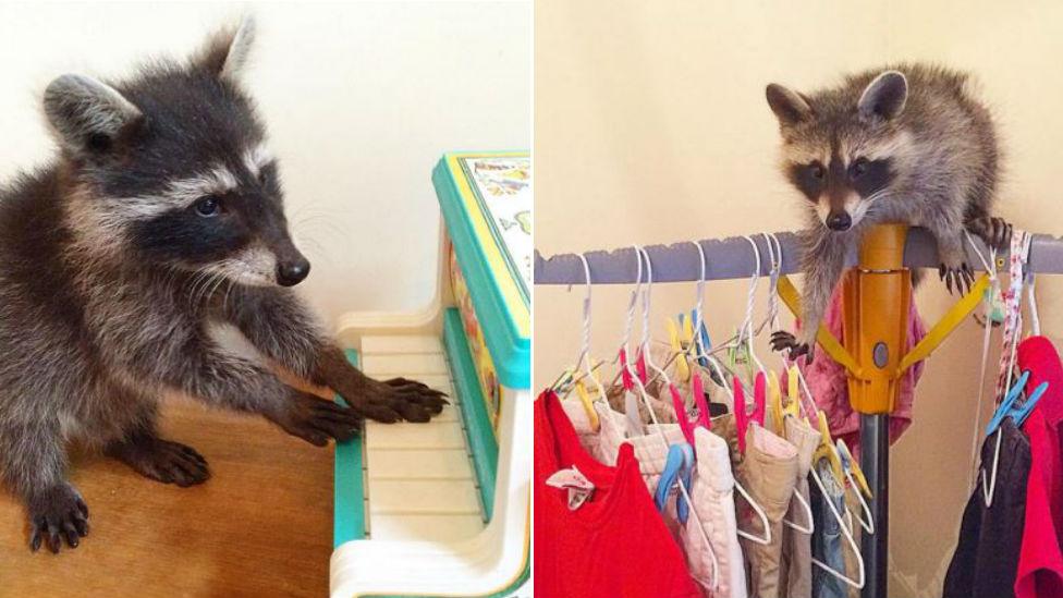 Winston playing the piano and Olivia mistakes a clothes rack for a tree