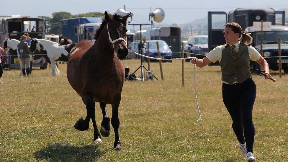 Sioe Caernarfon 2018