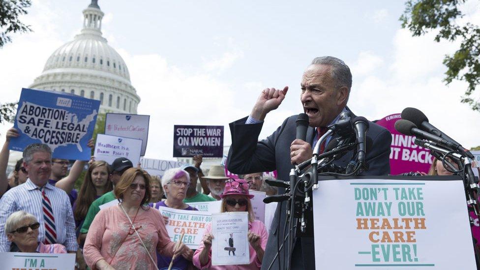 Chuck Schumer with protesters in Washington