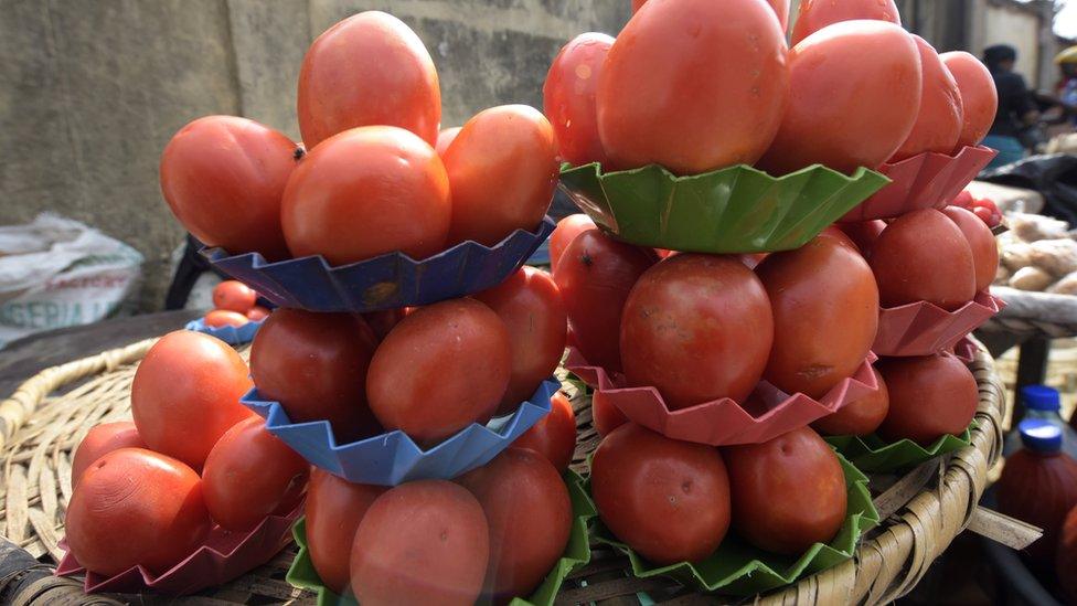 Trays of tomatoes in the market