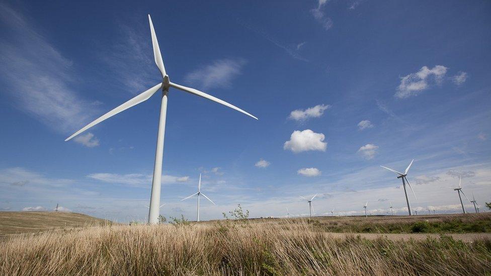 Whitelee wind farm