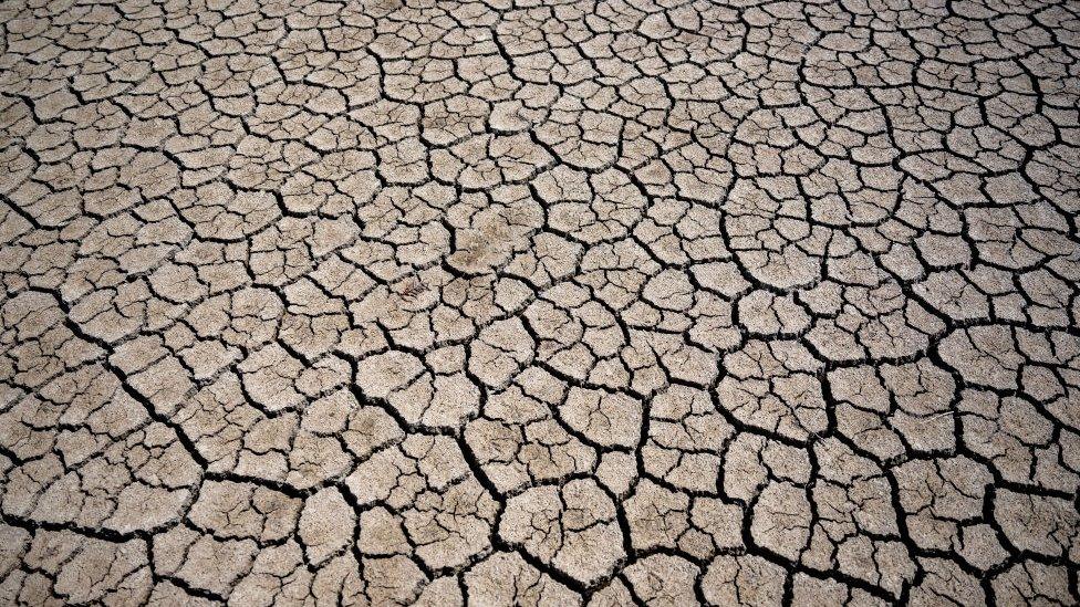 cracked drought earth wales