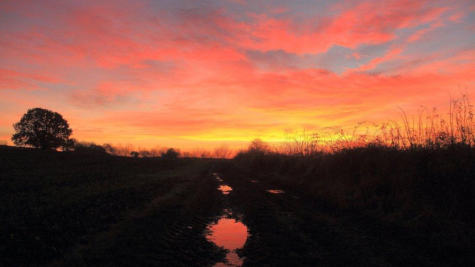 Sunrise in Kimberley Nottinghamshire