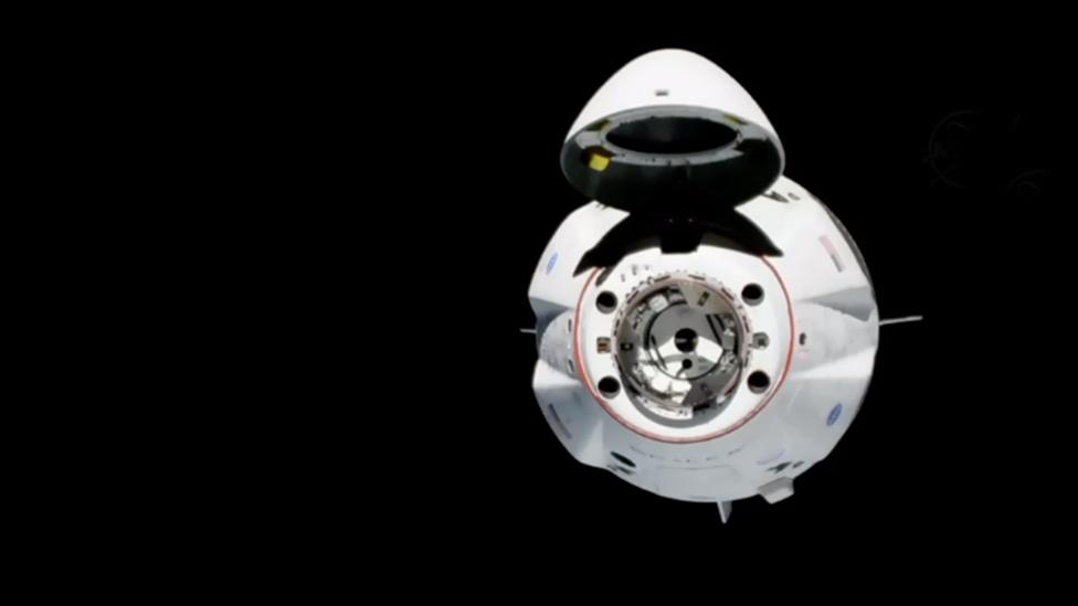 Dragon capsule