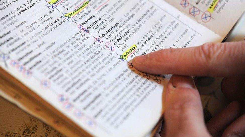 A man reads through a French dictionary