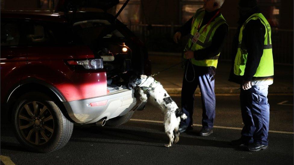 Police sniffer dog