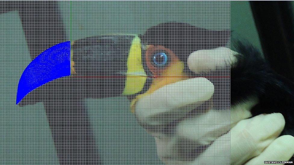 Image of the prosthesis in the planning stage