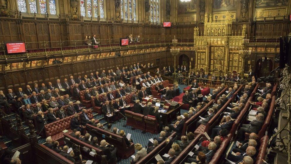 Peers in the House of Lords