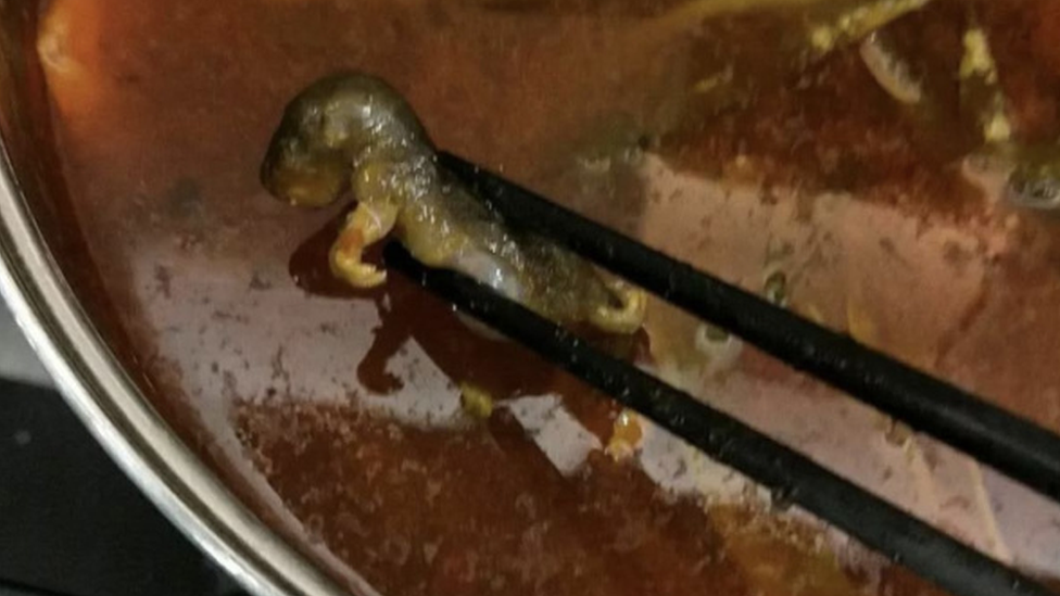 Rat found in hotpot