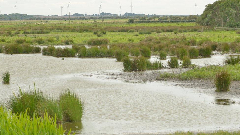 Druridge Pools