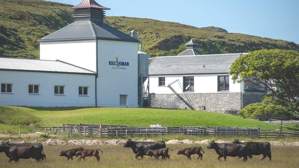 Kilchoman Distillery