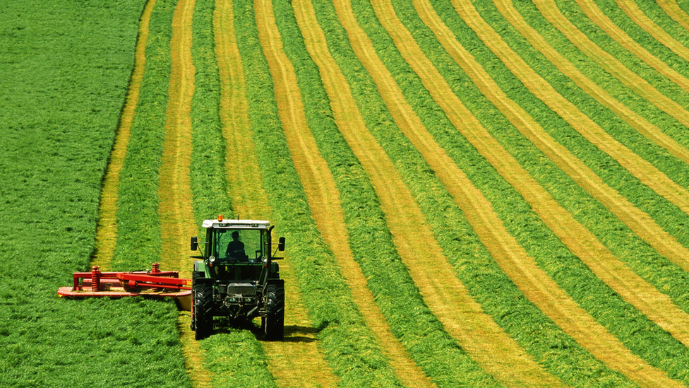 farming crops