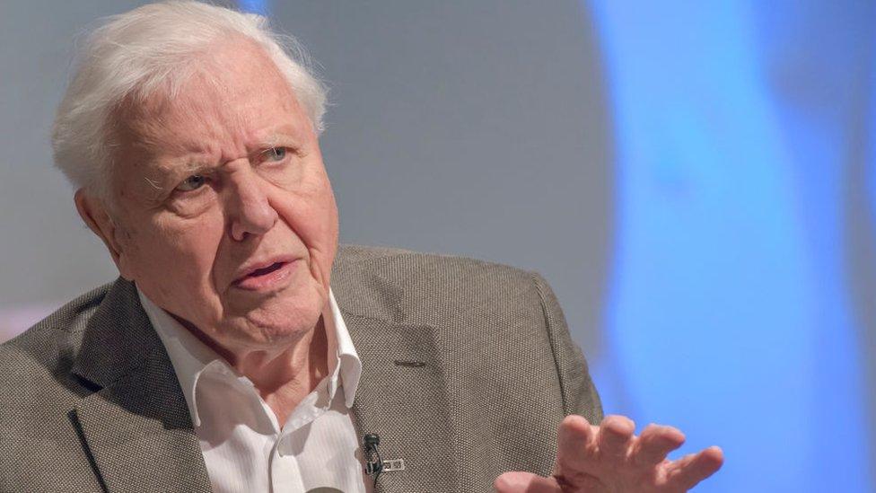 David Attenborough