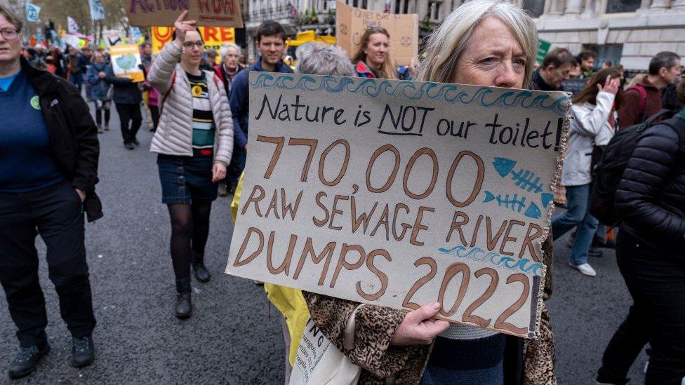 Protesters in London last year