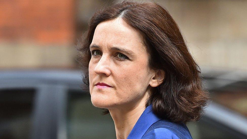 Theresa Villiers